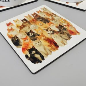 Pack 4 Muchos Gatos!
